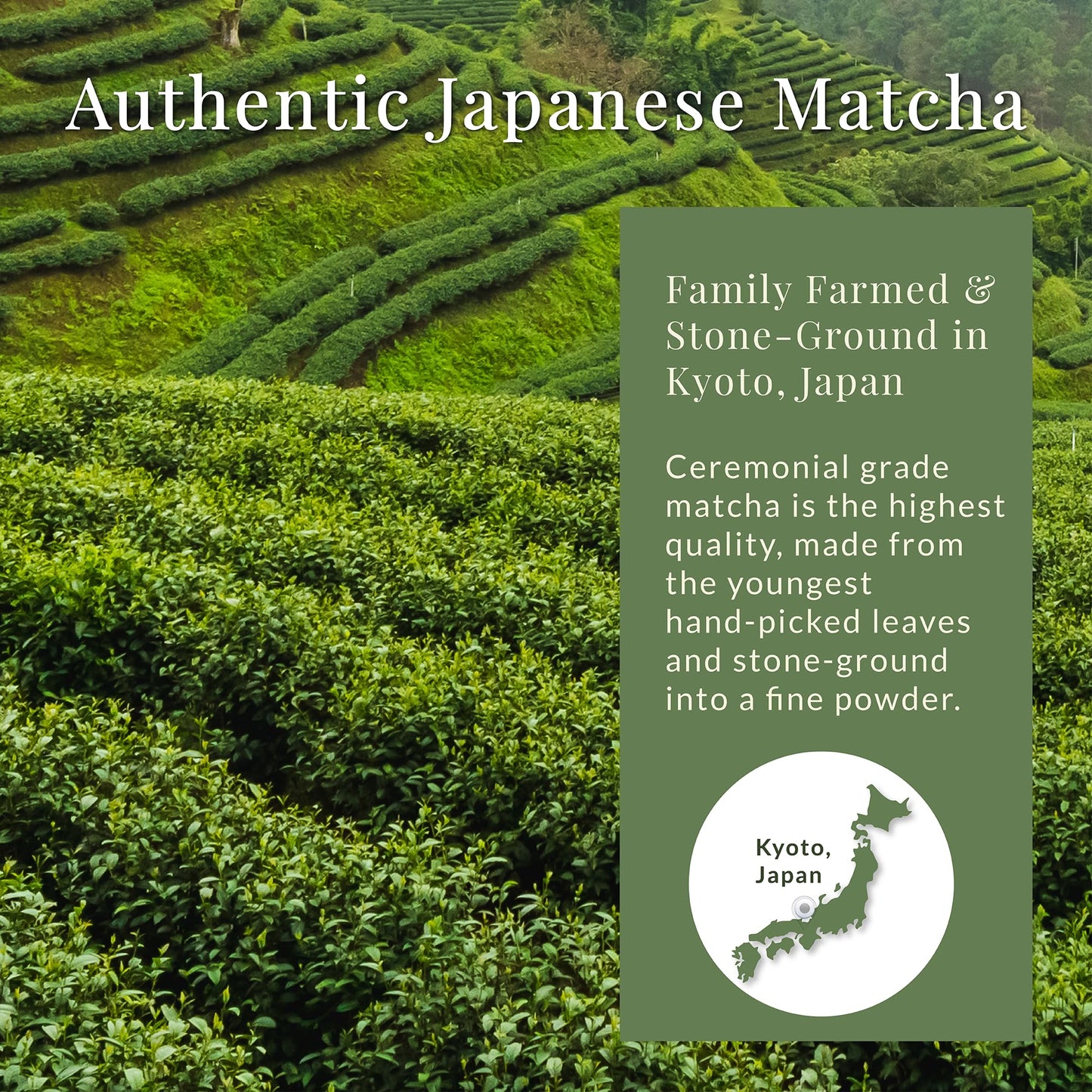 Matcha Sunday Ceremonial Grade Matcha - Kyoto Japan - Finely Ground Green Tea Powder - Vibrant Green (50g/ 1.75oz)
