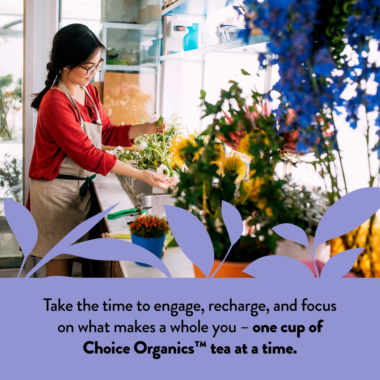 Choice Organics Earl Grey Tea with Bergamot - 48 Organic Black Tea Bags - 3 Pack - Fair Trade - Compostable - Contains Caffeine