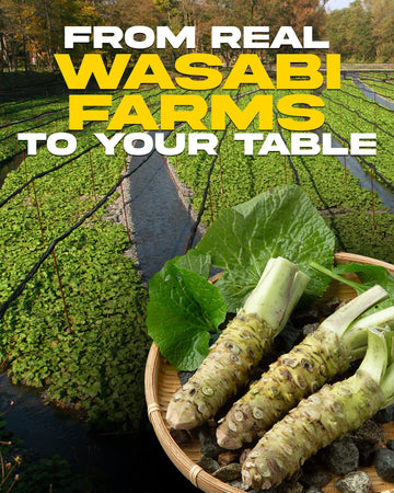 Wasabi O Hot & Spicy Sauce - Fresh Made Japanese Sauce With Pure & Real Wasabi, Gluten Free & Vegan Wasabi Sauce For Steak & Sus