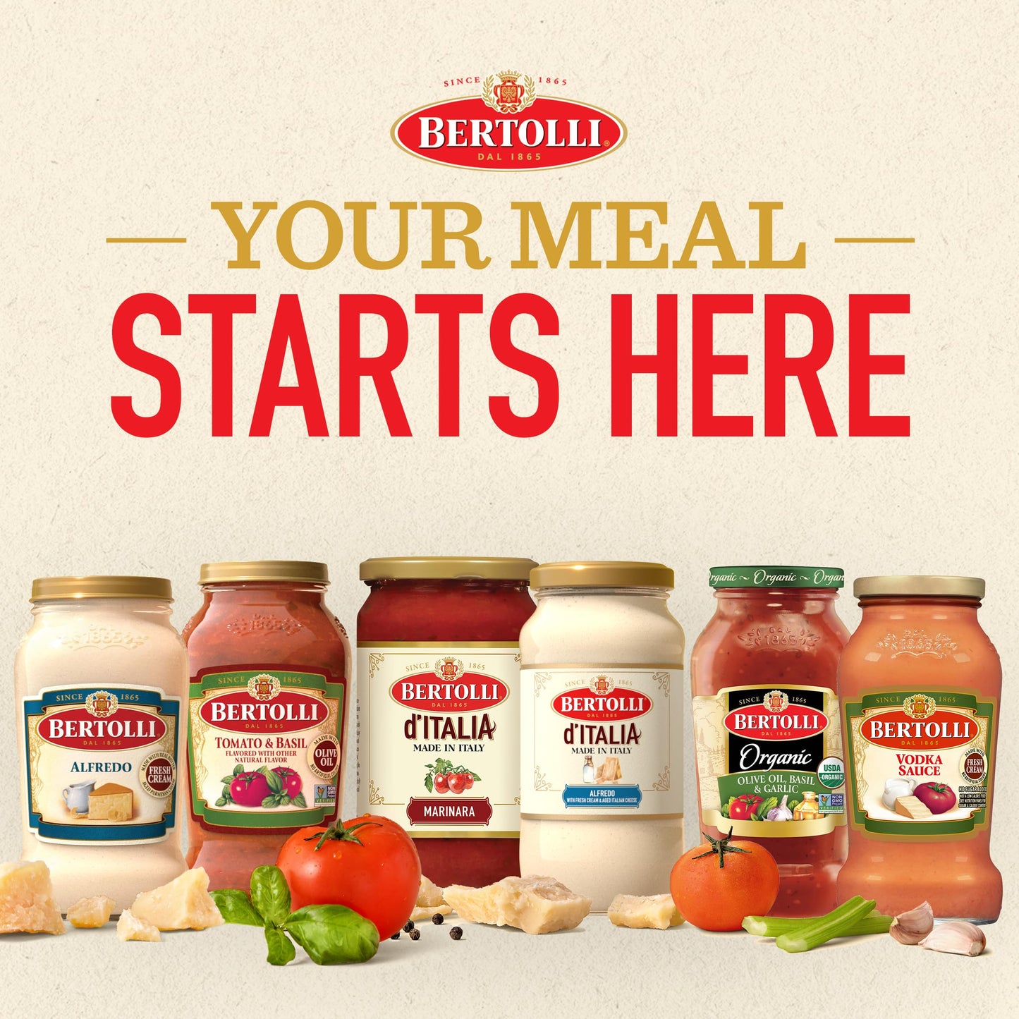 Bertolli Pasta Sauce with Tomato and Basil Spaghetti Tomato Sauce 24 oz (Pack of 6)