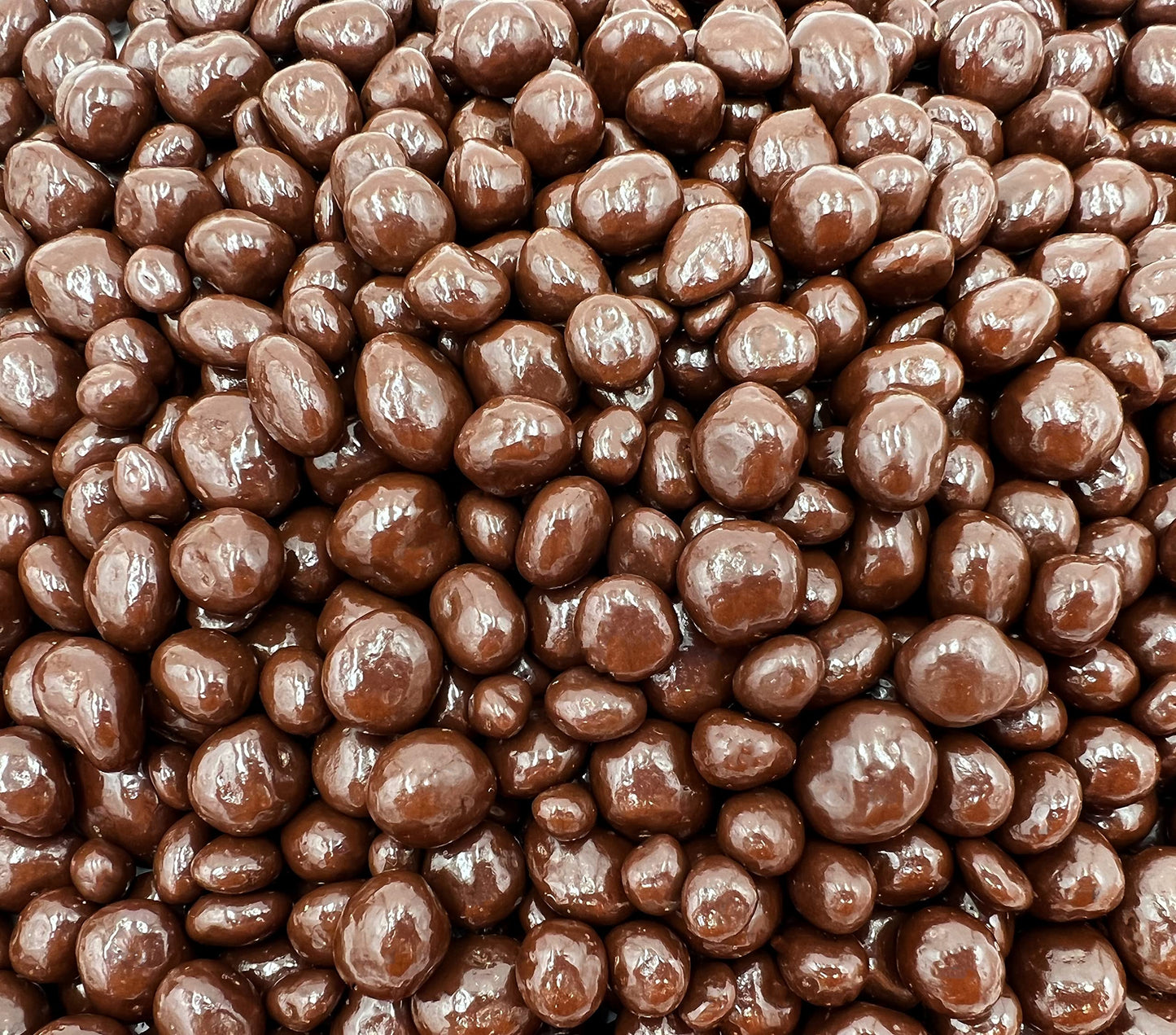 Sugar-Free Dark Chocolate Covered Raisins Candy (1 Pound Bag)