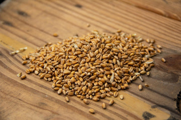 New Country Organics | Organic Wheat, Unmilled | Certified Organic And Non-Gmo | Feed Grade | 40 Lbs