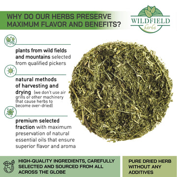 100 Bags Nettle Leaf Tea Ortiga Dried Nettle Herb Planta Bulk (Urtica Dioica) - 100 Count 1.5G Tea Bags Herb Hojas De Ortiga