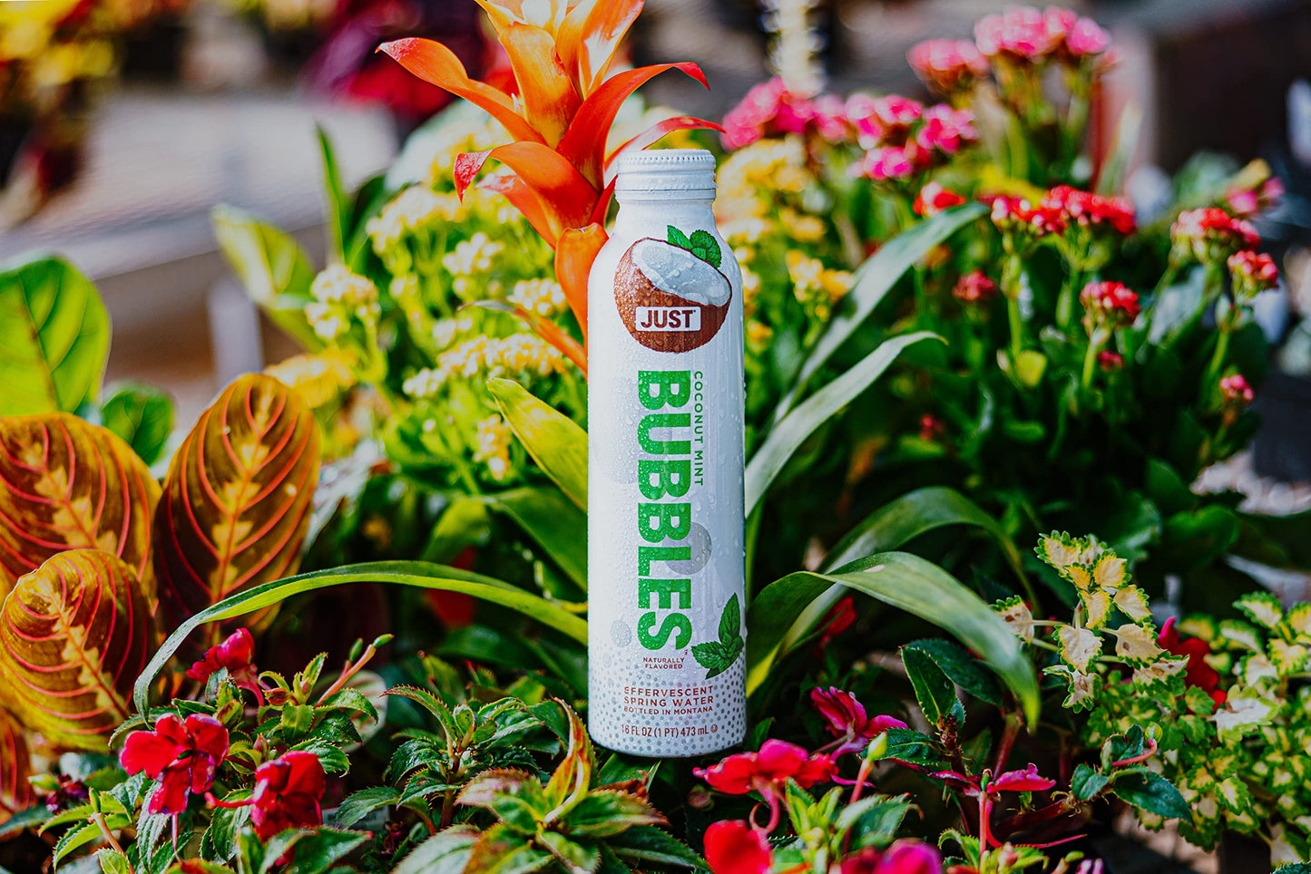 Just Bubbles Coconut Mint - Pure Premium Sparkling Spring Water In A Fully Recyclable Reusable Eco-Friendly Bottle - 100% Mounta