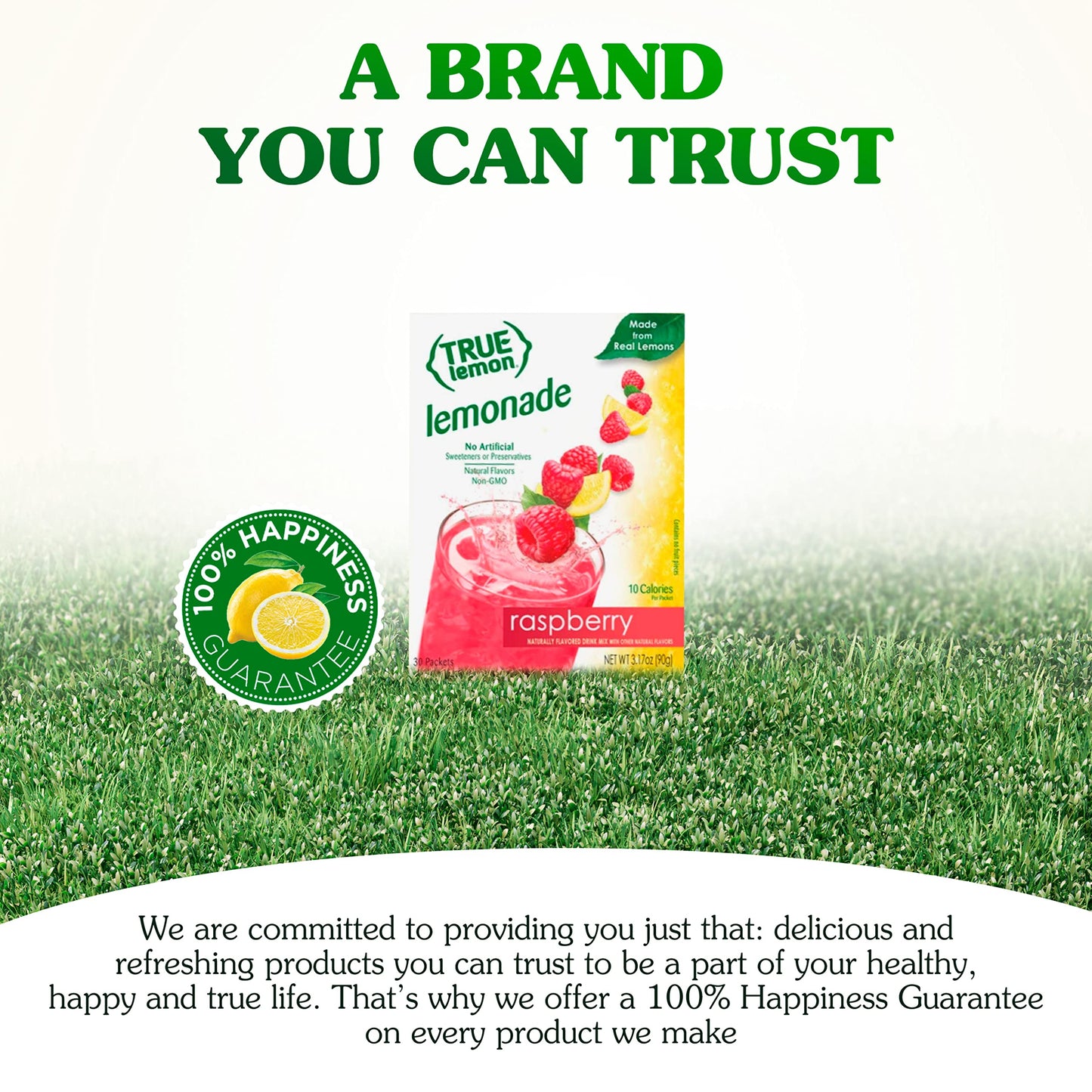 True Lemon Raspberry Lemonade Water Enhancer Drink Mix (30 Packets), Low Calorie Drink Mix Packets for Water,Powdered Drink Mixe