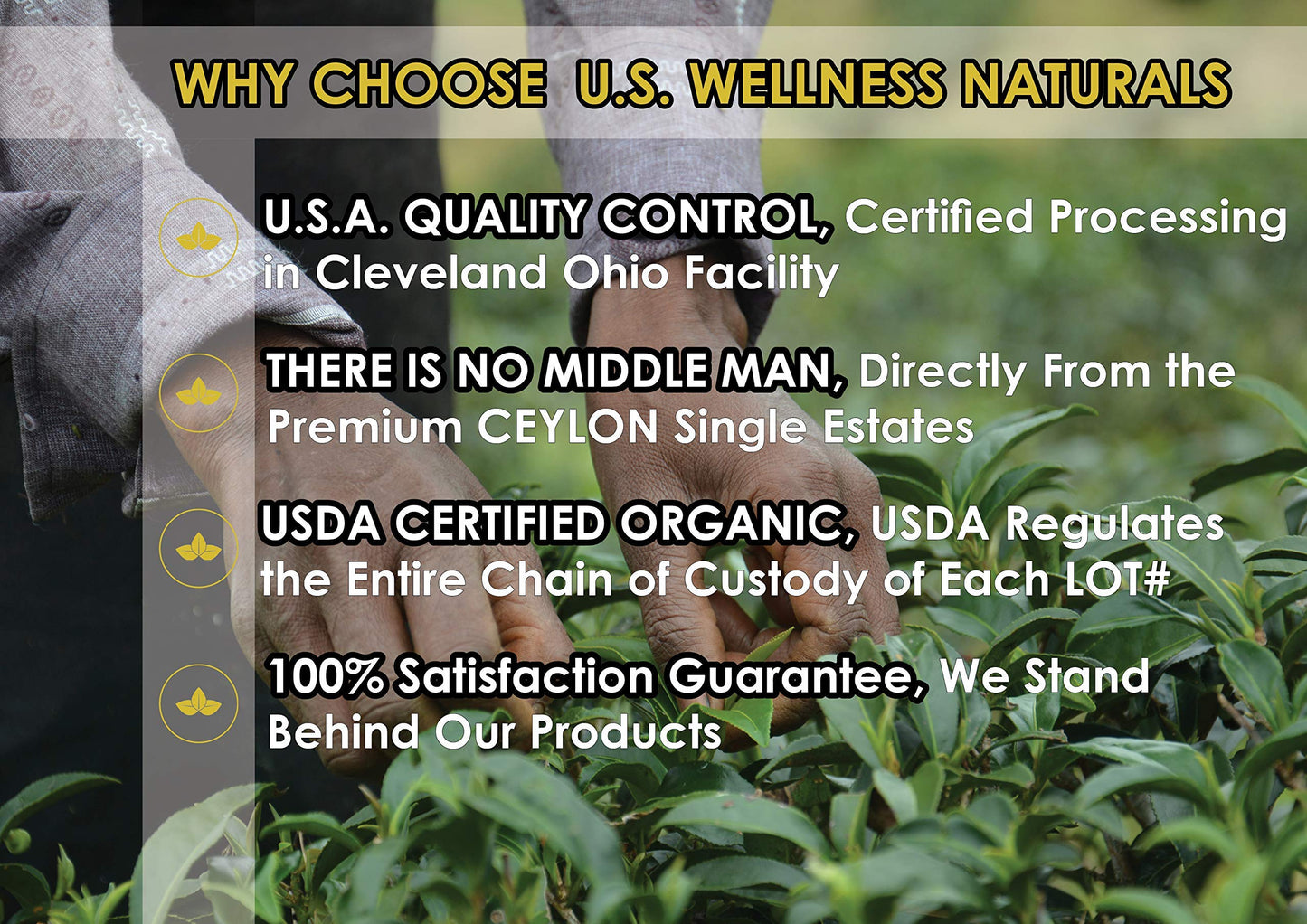 English Breakfast Tea, Crisp, Rich & Aromatic Well-Rounded Loose Leaf Tea, 110+ Cups, 8Oz Organic Ceylon Single Estate Tea, 100%