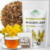 40 Mullen Tea Mullein Tea Leaf (Verb Scum L.) - 40 Count 1.5G Tea Bags Mullen Leaves Mullein Loose Leaf Tea Hoja De Gordolobo