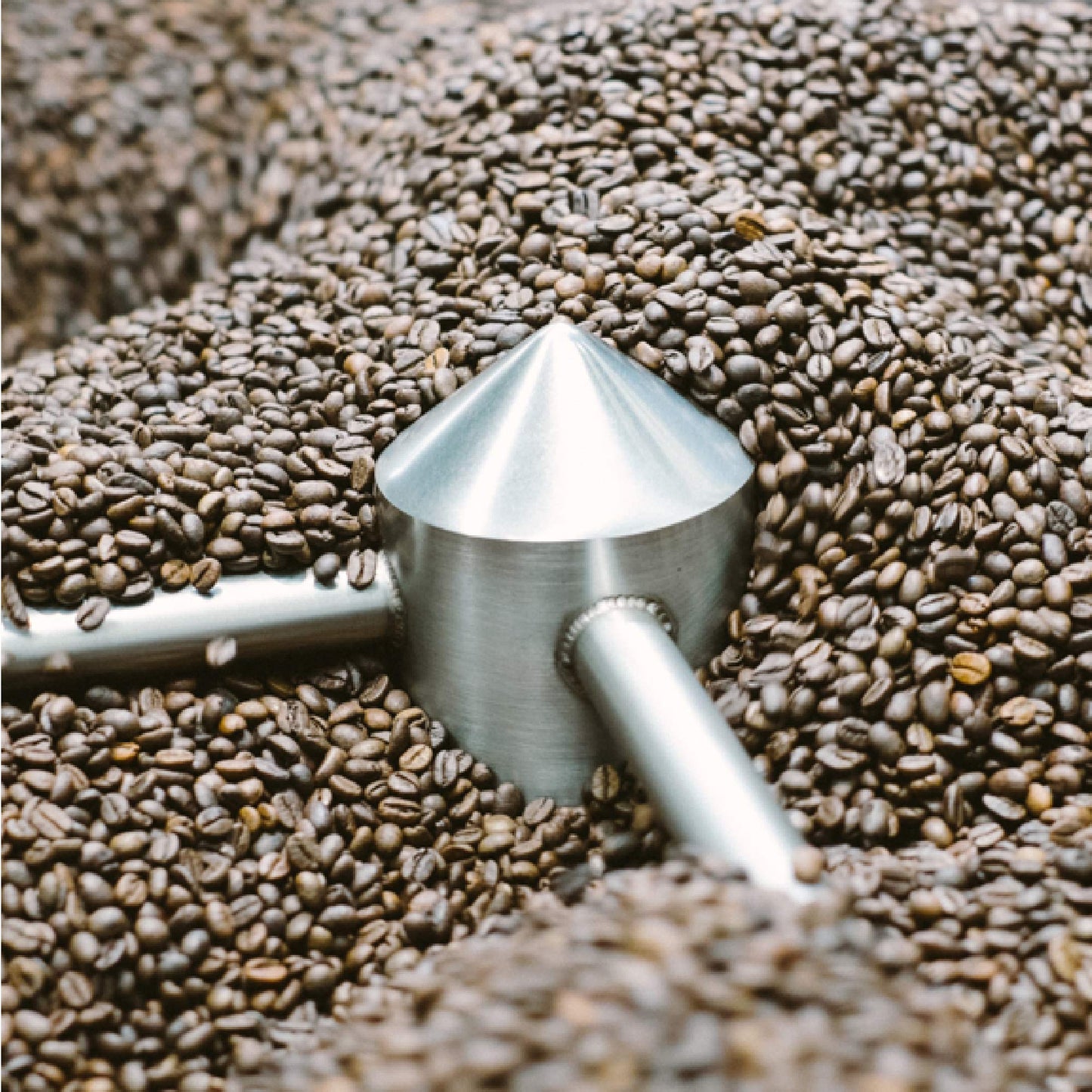 For Five Coffee Roasters - Roasted In Nyc - Sumatra Mandheling Dark Roast (Origin: Aceh, Sumatra, Indonesia), Whole Bean 12Oz