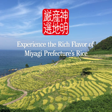 Shinmei Sanchi Gensen Hitomebore, Japanese Short Grain White Rice, 100% Grown In Miyagi, Japan For Sushi, Rice Ball, Rice Bowl (