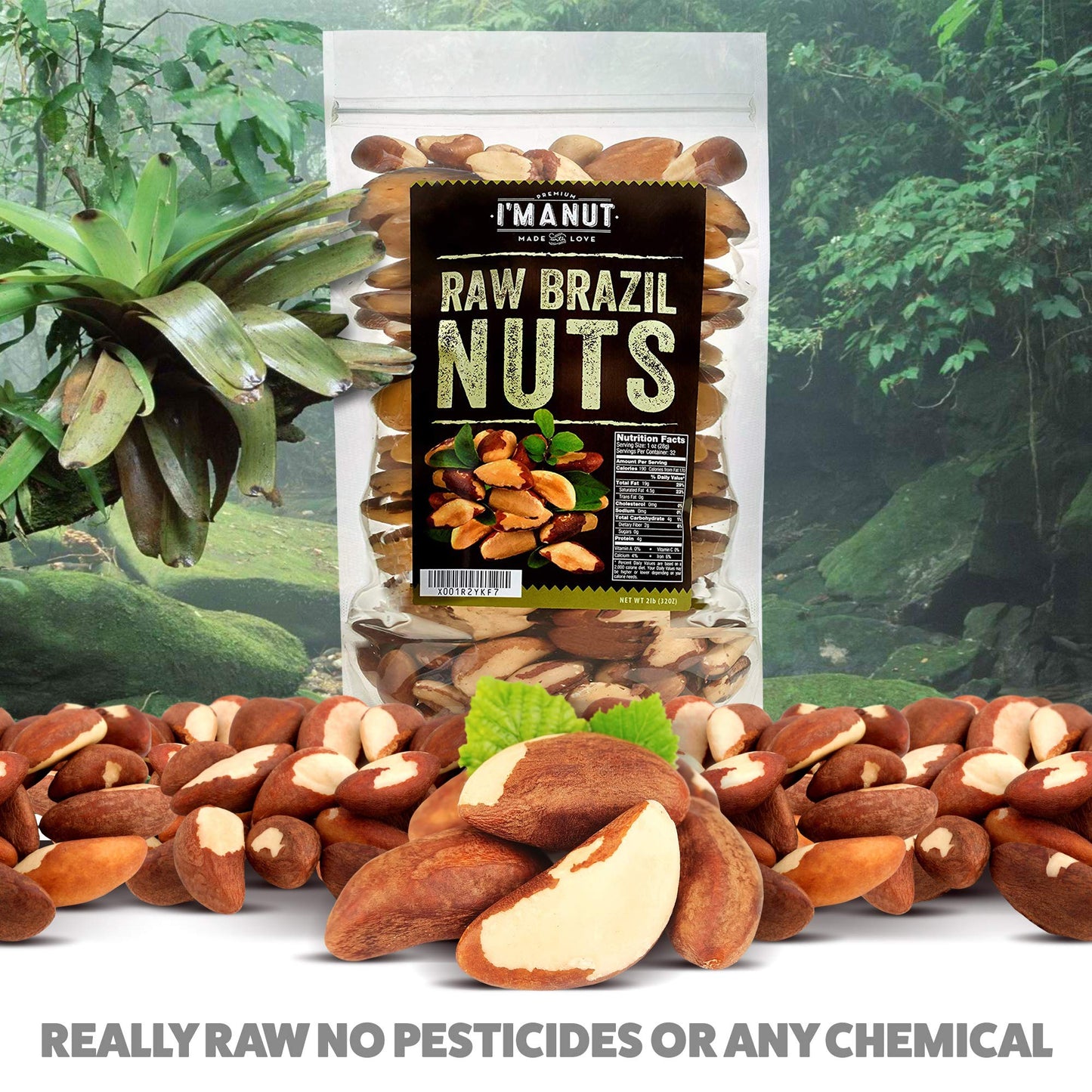 Im A Nut Raw Brazil Nuts, 16 oz, Non-GMO, Vegan, Gluten-Free, Resealable Bag