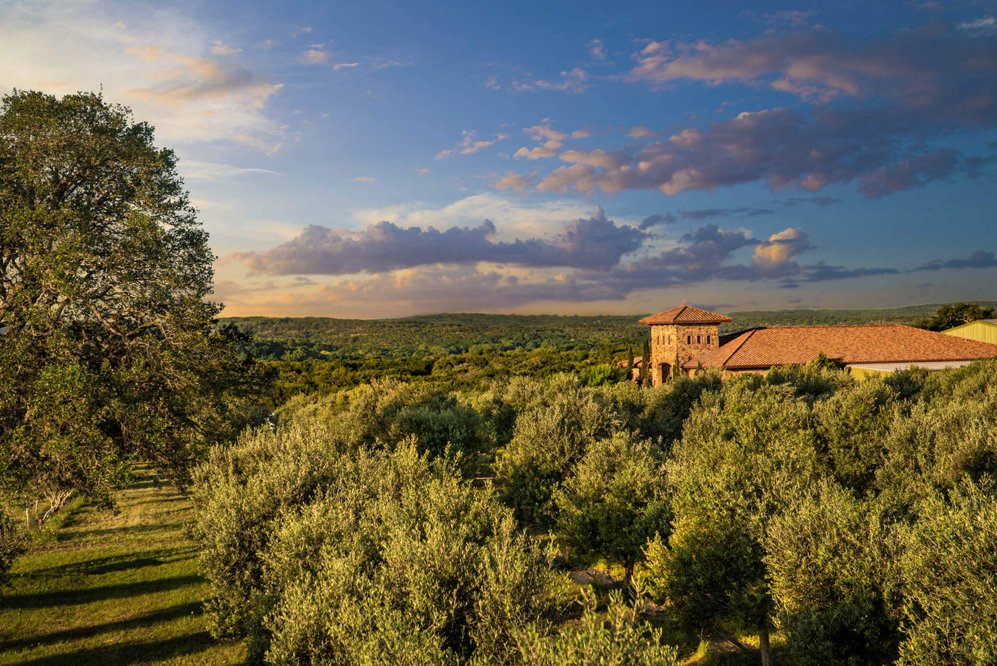 Raspberry Balsamic Vinegar - Gourmet Barrel Aged Infused Balsamic Vinegar - Great For Dressing Dipping Glazing - No Artificial F