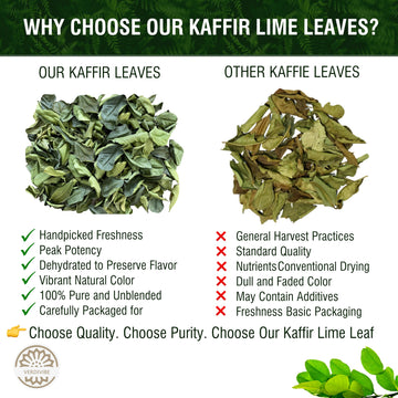 Premium Dried Kaffir Lime Leaves - 1 Oz (28.5G) Pack For Authentic Thai Flavor - Handpicked For Freshness And Intense Aroma (A)