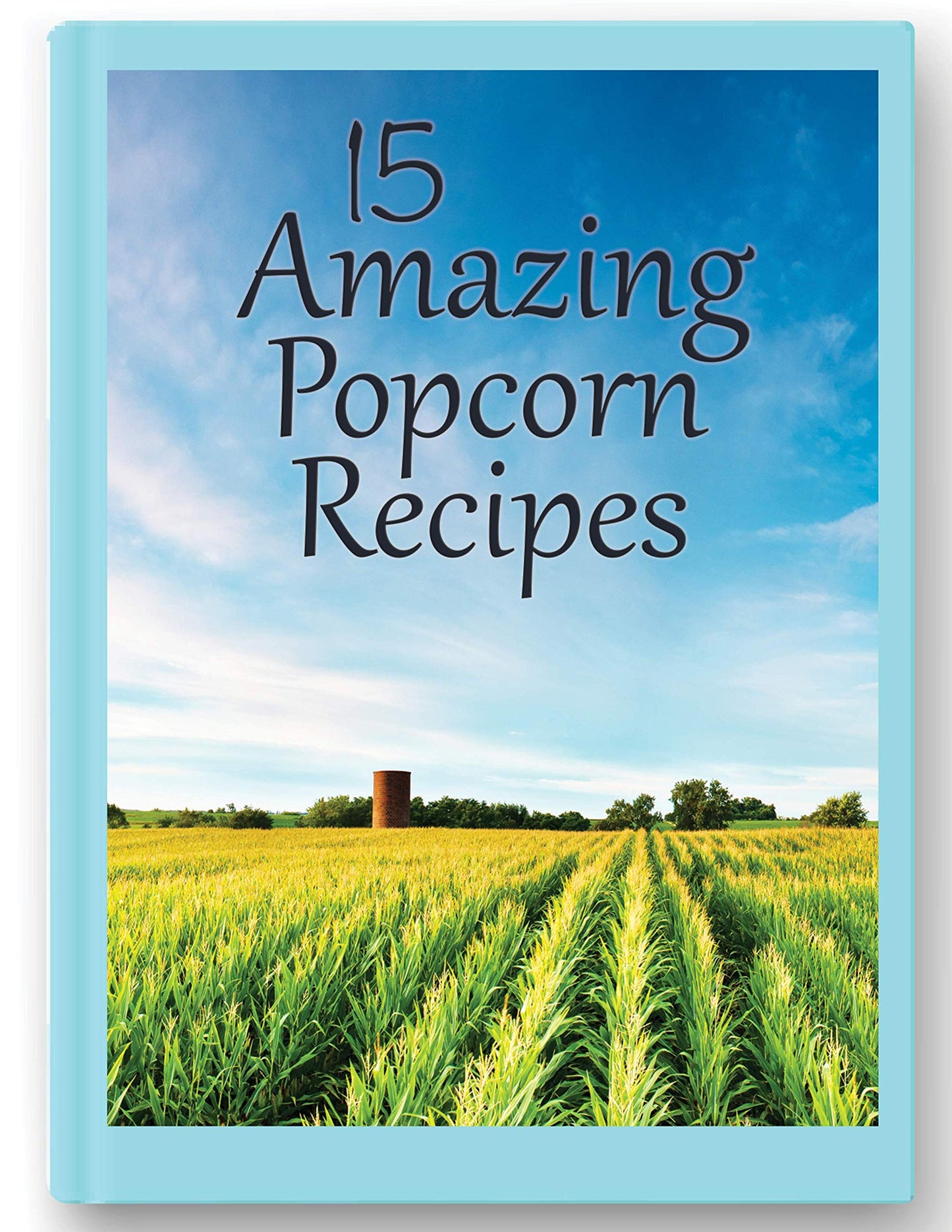 Amish Country Popcorn | Old Fashioned Microwave Popcorn | 10 Bags Cheddar Cheese Ladyfinger | Non-Gmo, Gluten Free, Microwaveabl