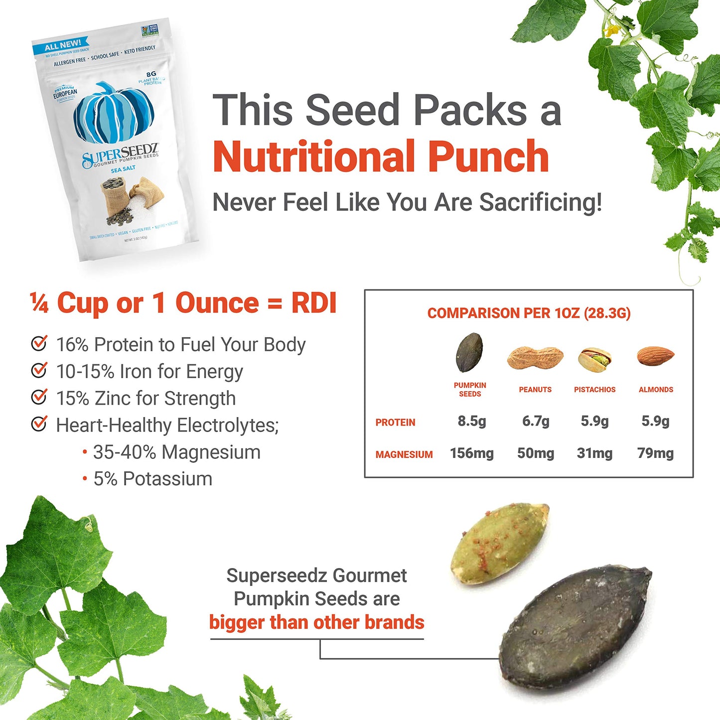 Superseedz Dry Roasted Pumpkin Seeds - Sea Salt Pepitas, Whole 30, Paleo, Vegan & Keto Snacks, 8G Plant Based Protein, Produced In Usa, Dairy Free, Nut Free, Gluten Free Snack (5Oz, 6-Pack)