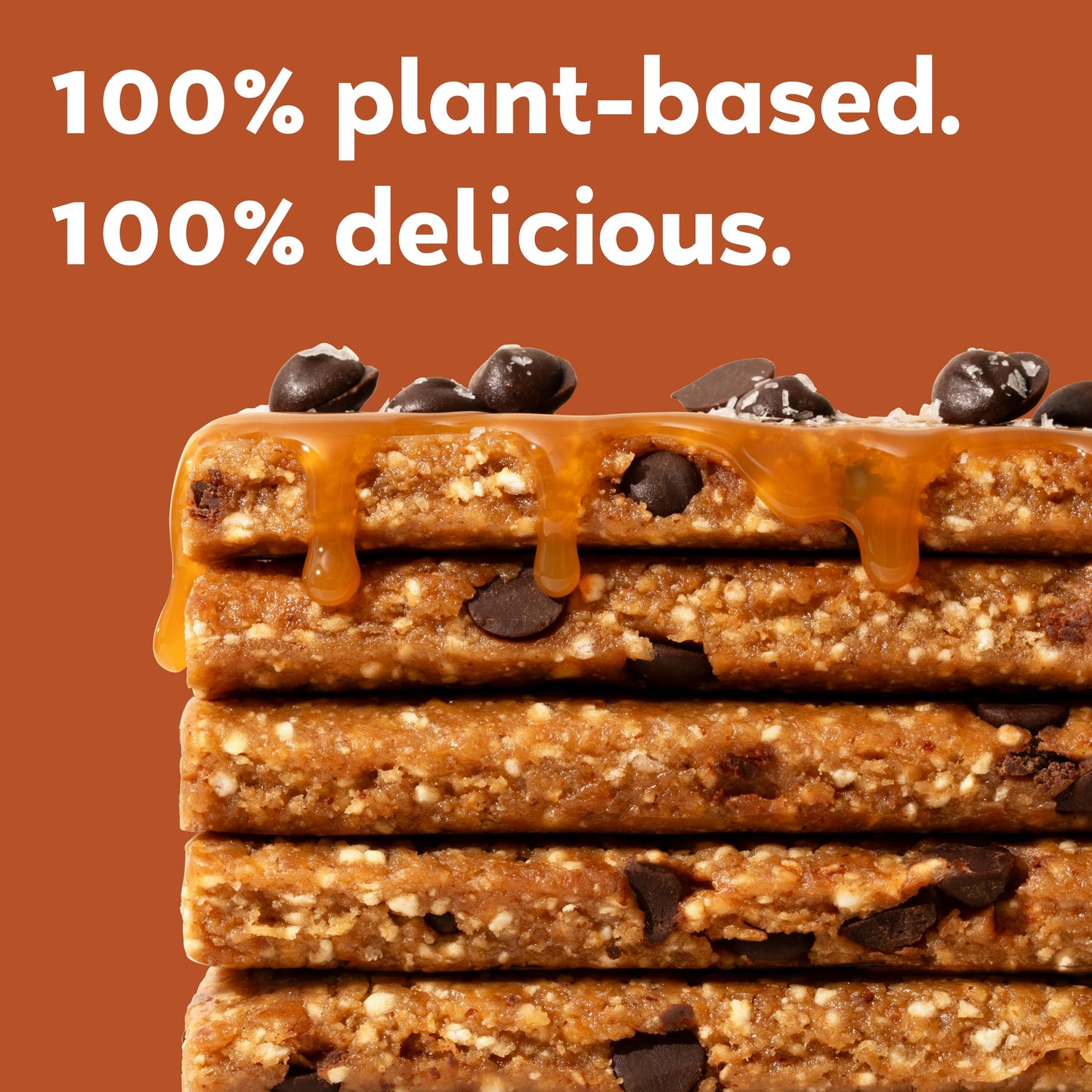 Gomacro Macrobar Organic Vegan Protein Bars - Salted Caramel + Chocolate Chips (2.3 Ounce Bars, 12 Count)