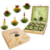 Creano Flowering Abloom Tea - Blooming Gift Set In Stylish Wooden Box 12Pcs