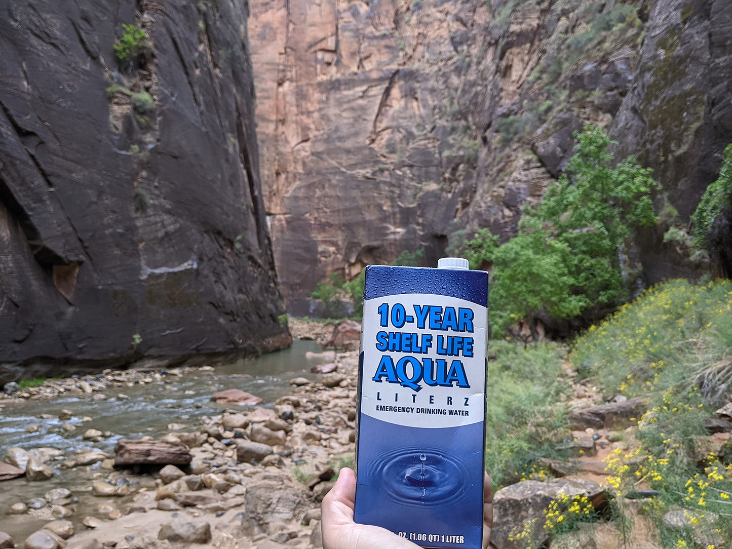 Ready America 10 Year Shelf Life Water, Pack of 12