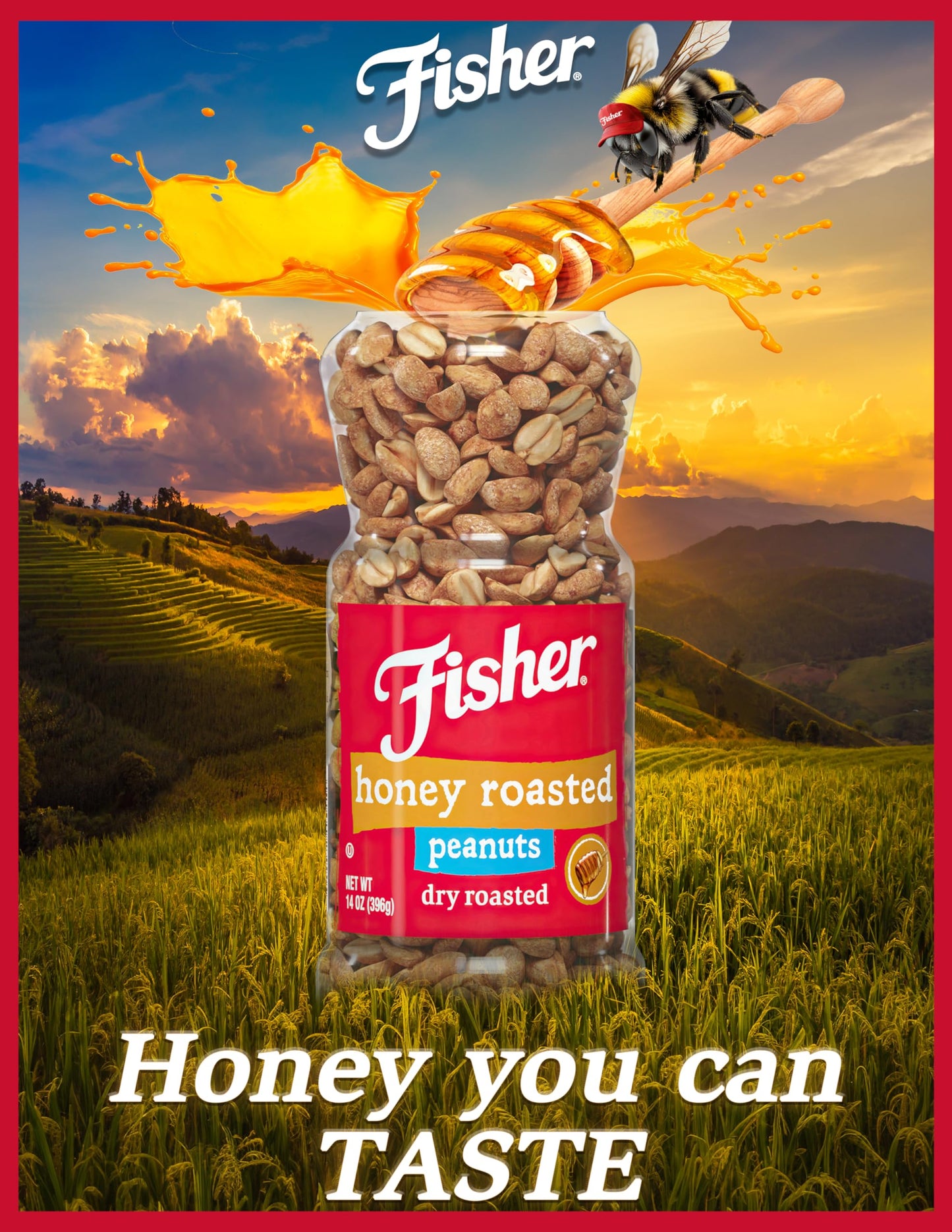 Fisher Snack Honey Roasted Dry Roasted Peanuts, 14 Ounces, Made With Real Honey, 100% Recyclable