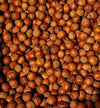 Hazelnuts in-shell, grown in our family's orchard in Washington state (Raw, 8 pound)