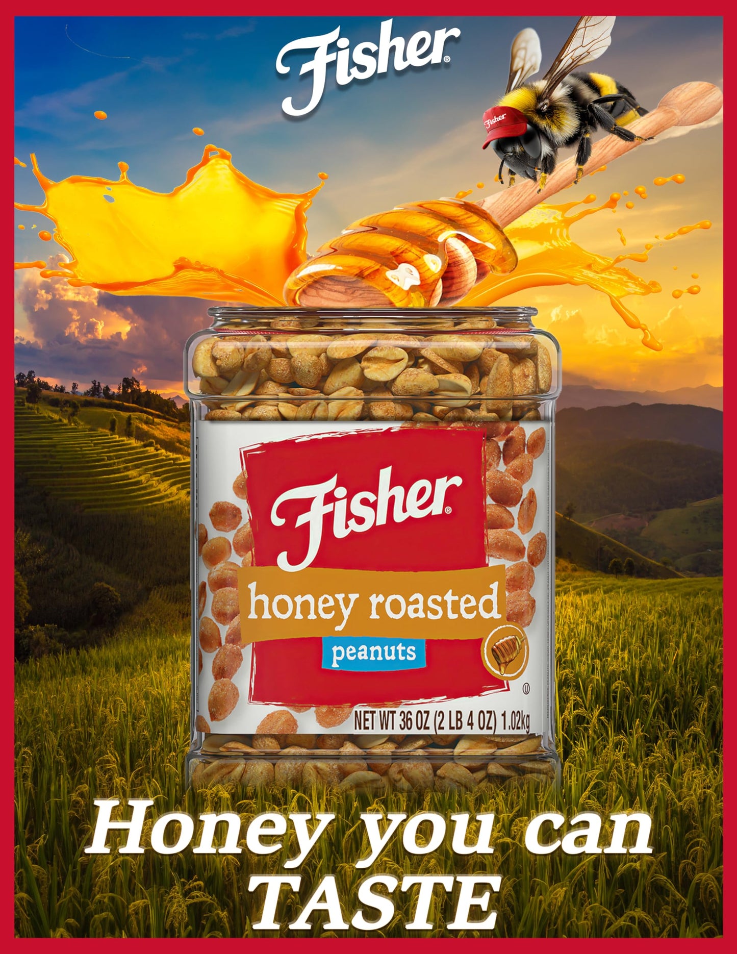 Fisher Snack Honey Roasted Peanuts, 36 Ounces (Pack Of 6), Made With Real Honey, 100% Recyclable