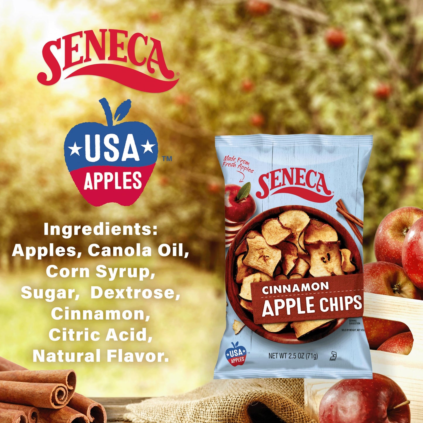 Seneca Cinnamon Apple Chips - 100% Red Delicious Apples, Crisped Perfection, 2.5 Ounce (Pack of 12)