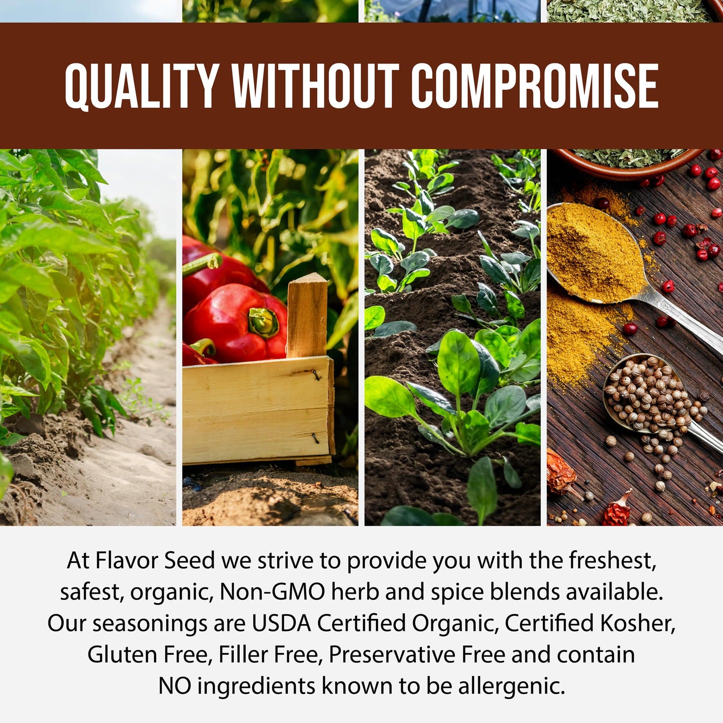 Flavor Seed Organic Garlic Salt Seasoning, Keto Friendly, Non-GMO, 3.4oz Shaker Jar