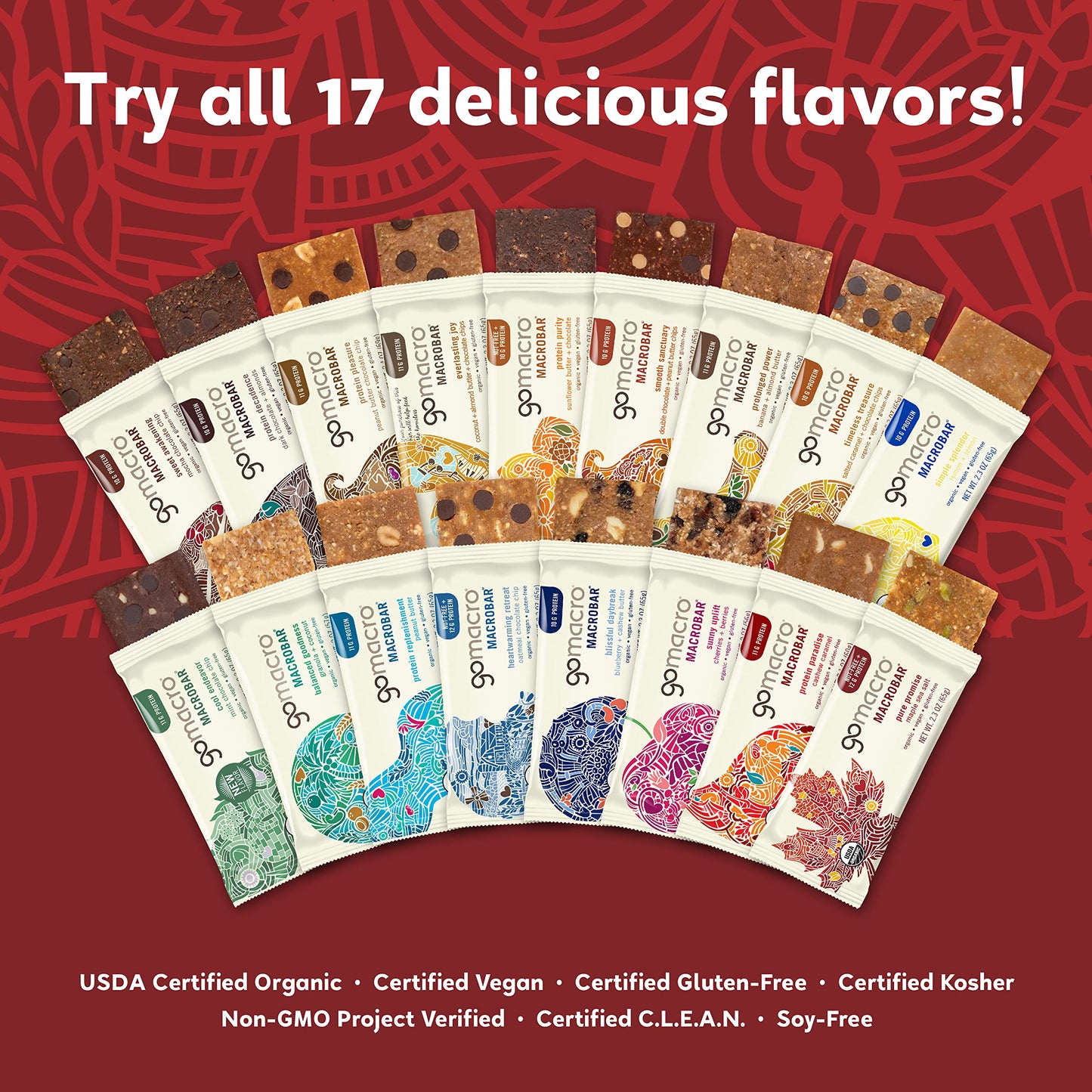 Gomacro Macrobar Organic Vegan Protein Bars - Maple Sea Salt (2.3 Ounce Bars, 12 Count)