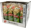 Caramel Cob Soft Caramel Popcorn - 16 Individually Wrapped 2.5 oz Bars - Gluten-Free, Peanut & Tree Nut-Free - Microwaveable for