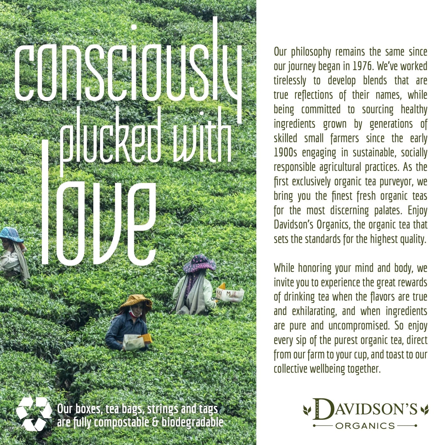 Davidson'S Organics, Green Tea Garden, Loose Leaf Tea, 16-Ounce Bag