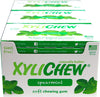 Xylichew Xylichew Spearmint 24 Pack