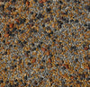 No-Till Cover Crop 13-Seed Mix: 50% Clovers Plus Fenugreek, Vetch, Flax, Cowpeas, Buckwheat, Forage Peas, Millet, Lentils (45-lb