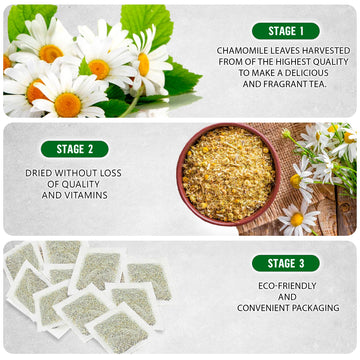TeaDreamTea Chamomile Tea Bags | Caffeine-Free | 50 Count | Brew Hot or Iced