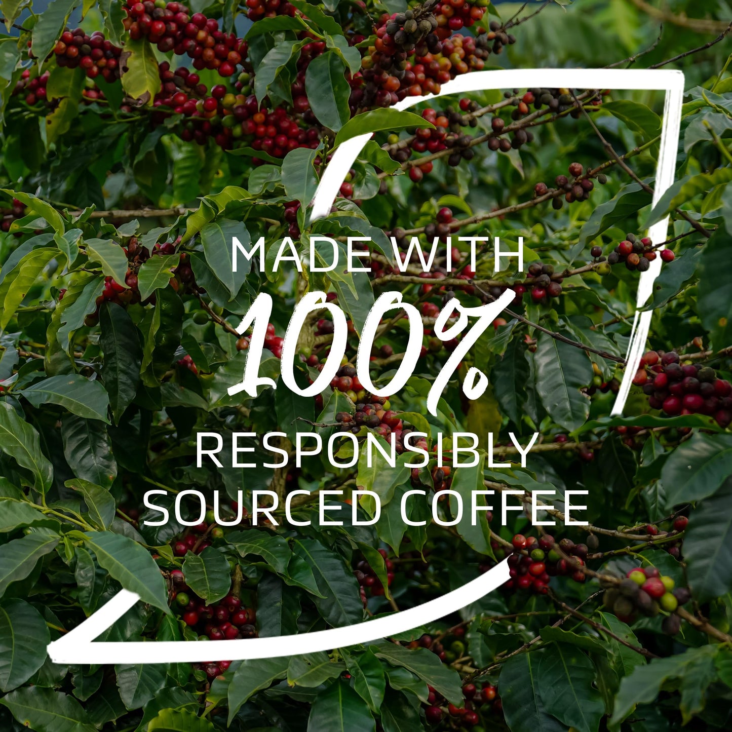 Nescafe Unsweet Cappuccino Sach Pk50 16G