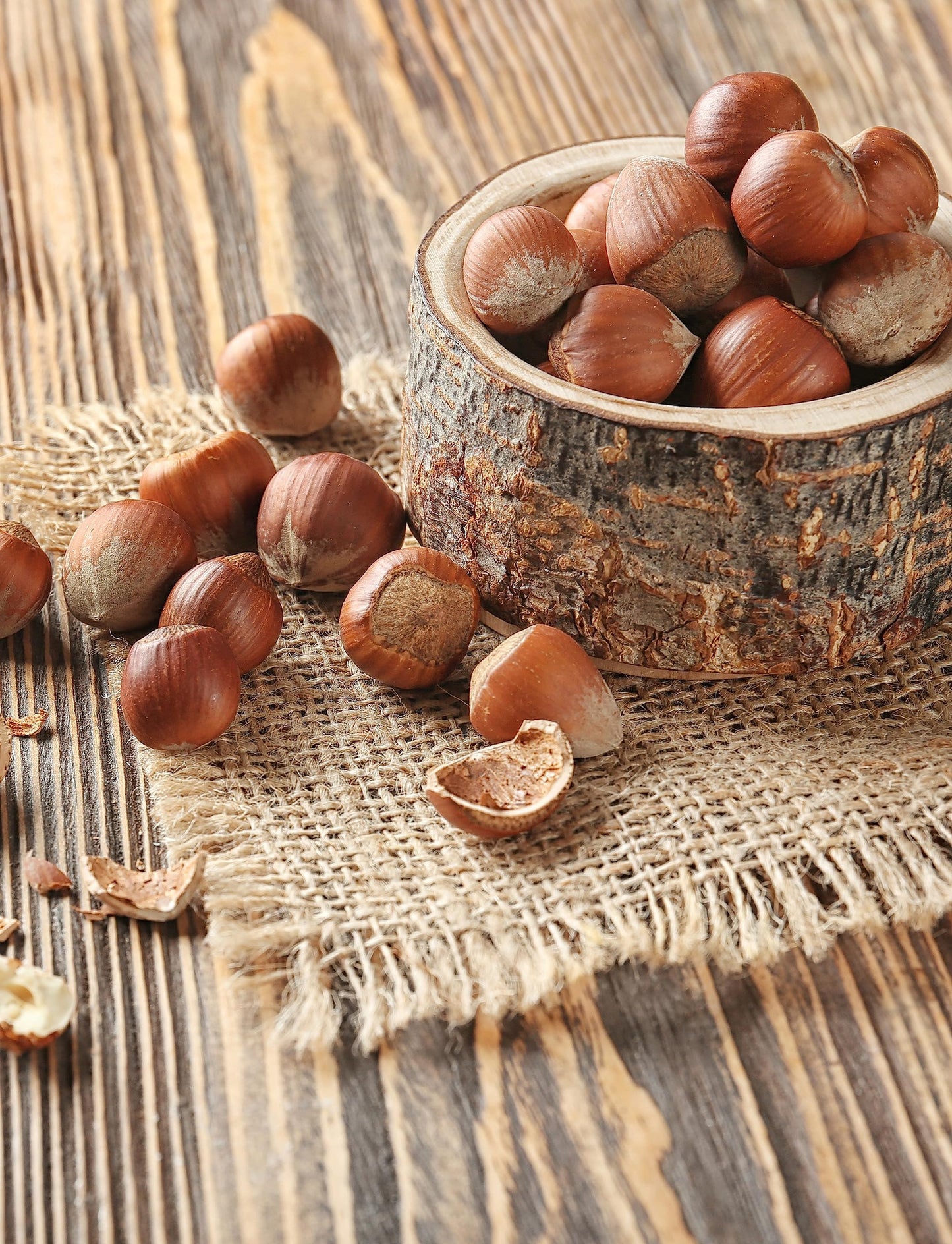 Anna And Sarah Large Oregon Hazelnuts In Shell, 5 Lbs