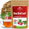 4 oz. Uva Ursi Leaf Uva Ursi Tea Herbal (Arctostaphylos Uva-Ursi) - 113g Uva-Ursi Herb Tea Arctostaphylos Uva-Ursi