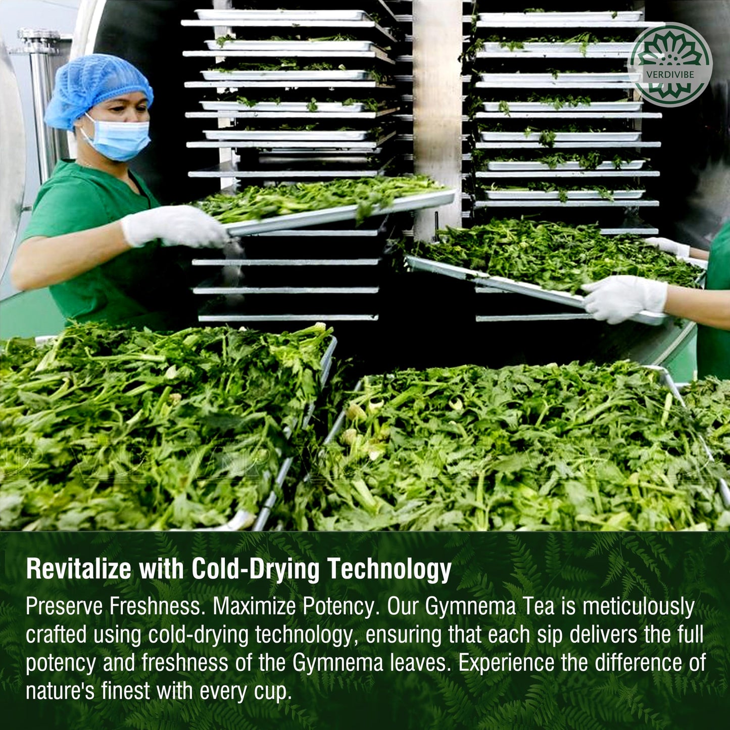 Gymnema Tea Bags For Diabetics - Cold-Dried For Maximum Freshness And Nutrient Retention - 45 Gurmar Tea Bags (45, Gymnema Sylve