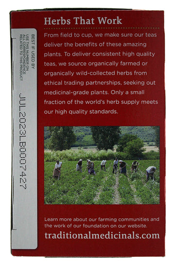 Traditional Medicinals Organic Echinacea Plus Elderberry Herbal Tea, Promotes Immune Function, (Pack Of 3) - 48 Tea Bags Total