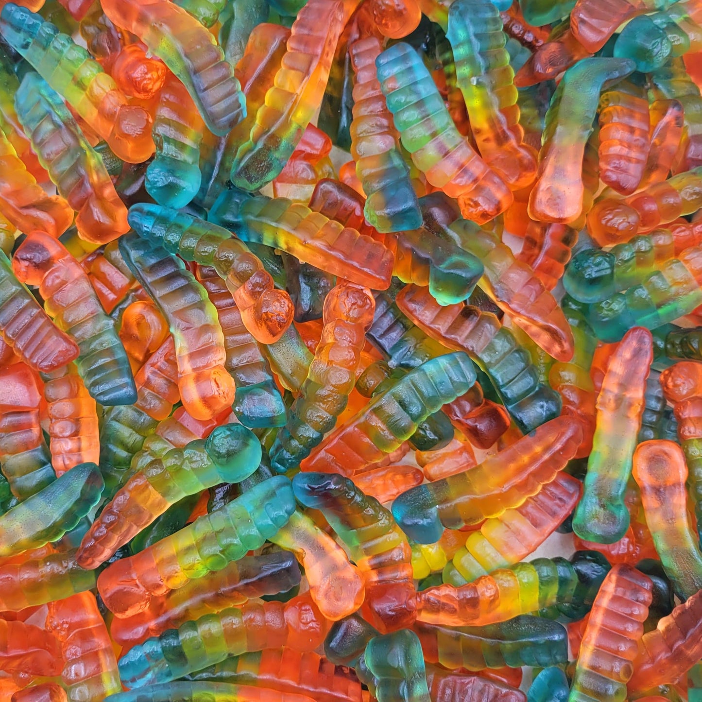 Harbo Gummy 3 Pounds (Rainbow Worms)
