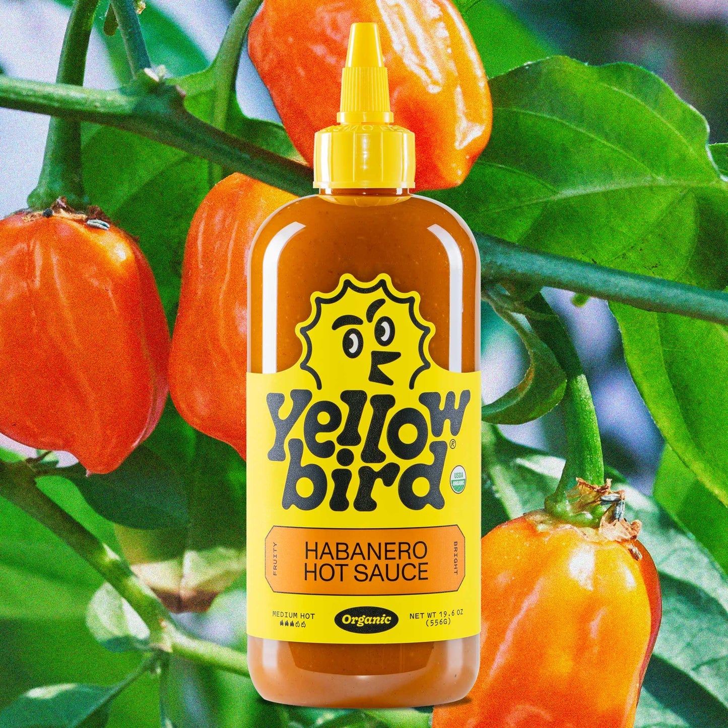 Yellowbird Organic Habanero Hot Sauce - Medium Hot - Vegan Habanero Sauce Made with Carrots, Garlic and Tangerine - Gluten-Free