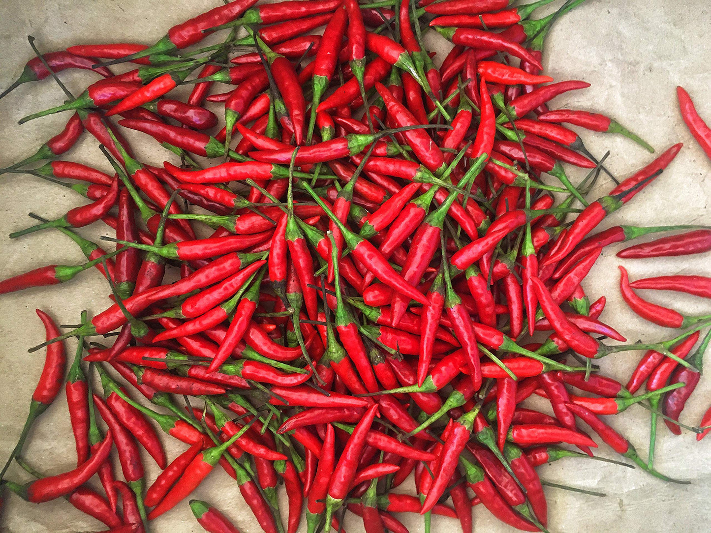 Kejora Fresh Red Thai Chili Peppers -1 Lb (16 Oz)