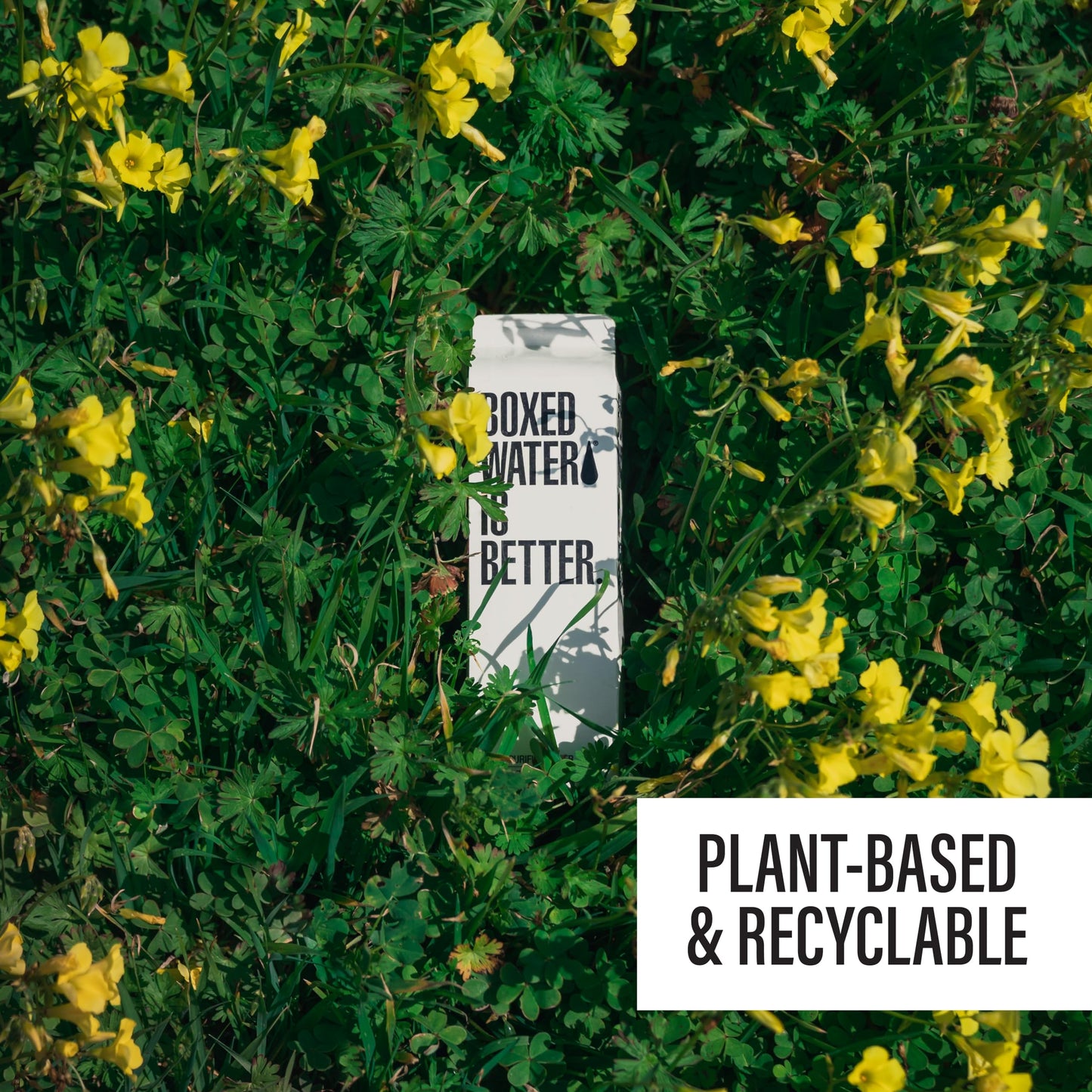 Boxed Water 33.8 oz. (12 Pack) - Purified Drinking Water in 92% Plant- Based Boxes - 100% Recyclable, BPA-Free, Refillable/Reusa