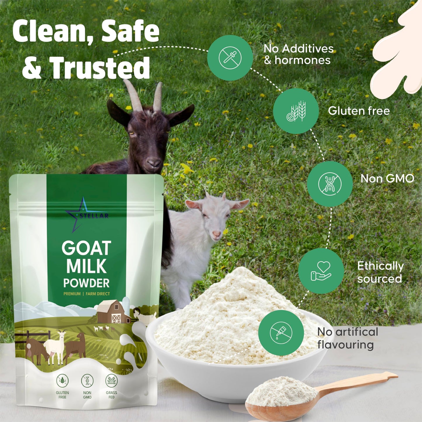 Stellar Goat Milk Powder - 2 lb | Grass-Fed from Australia | Easy to Digest High in Protein Calcium & Probiotics | Pure Non-GMO Gluten-Free Pet Friendly No Additives