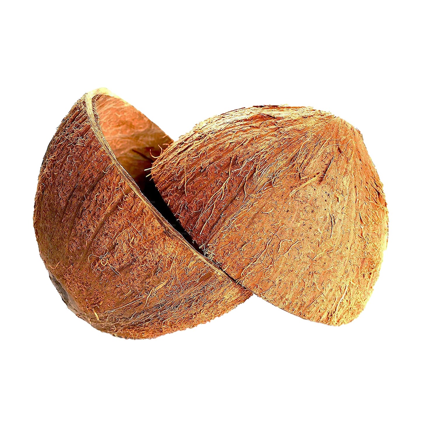 Lakpura Coconut Shell Halves (2 pcs)