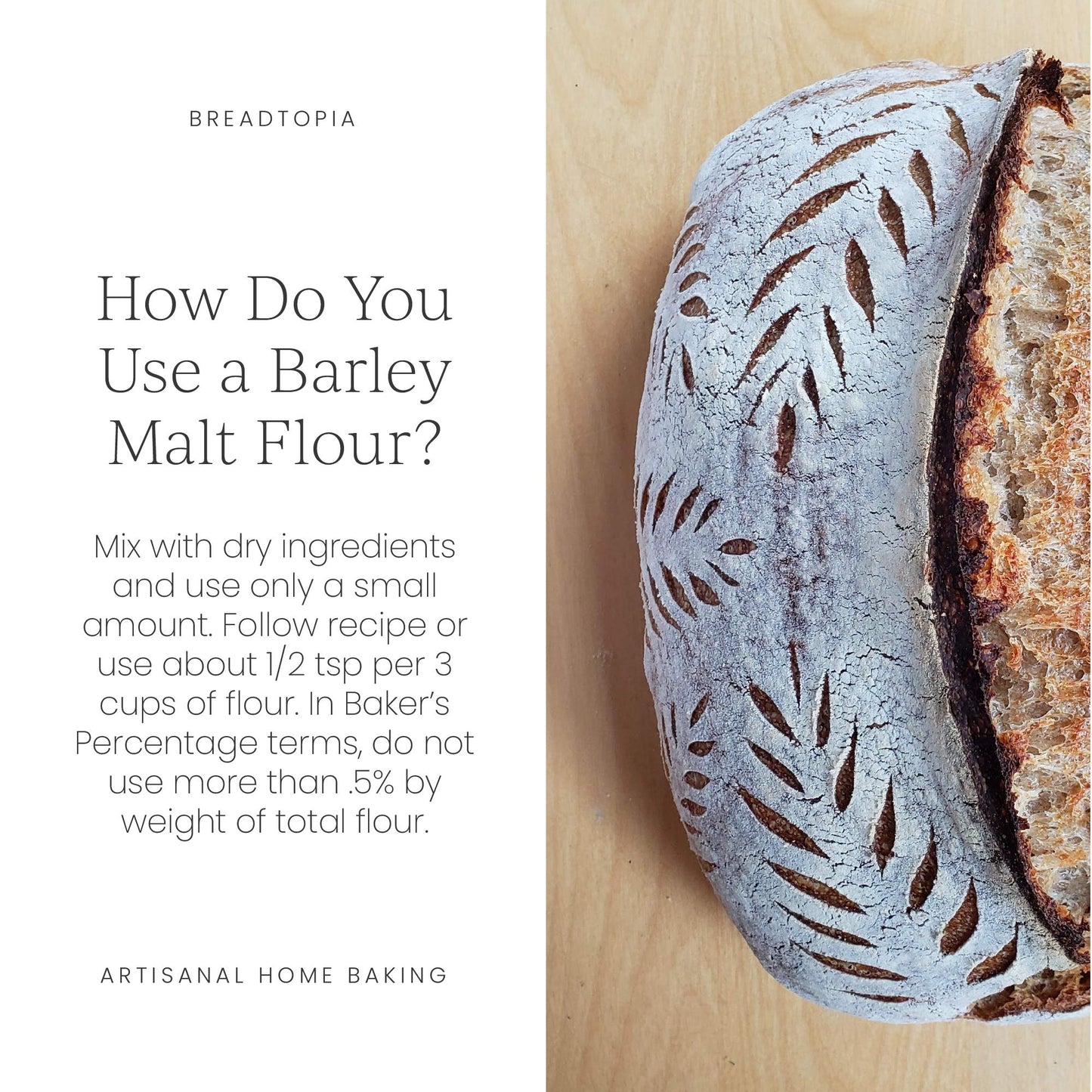 Breadtopia Organic Diastatic Malt Powder, Non-GMO, 8 oz, No Additives, No Sugar, Milled from Whole Malted Barley Kernel