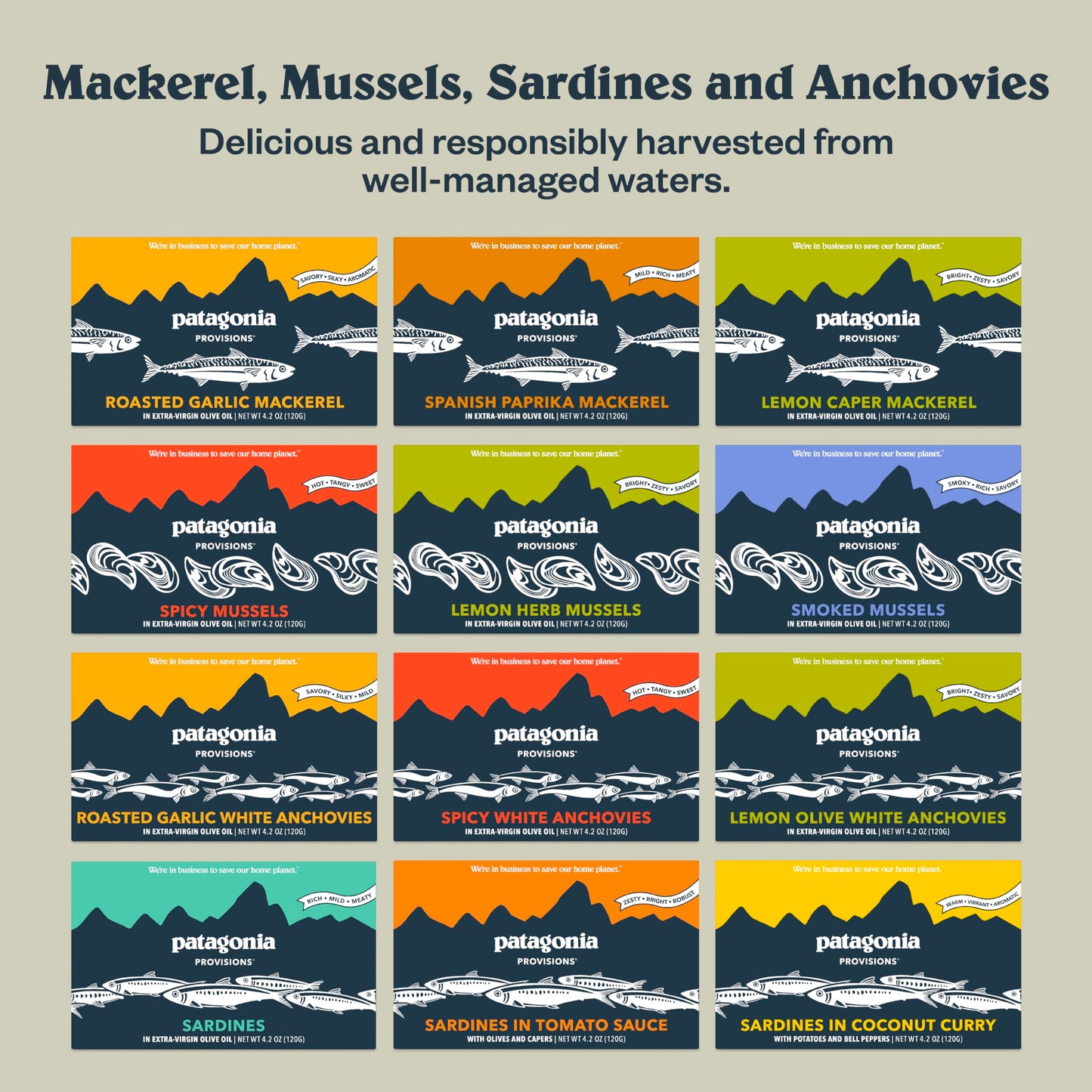 Patagonia Provisions - Tomato Olive Sardines | Responsibly Sourced In Spain | 14G Protein Per Tin & Gluten Free