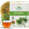 4 oz. Pine Needle Tea Dried Pine Needles Herb Tea (Pinus Koraiensis) - 113g Dried Needle Leaf Aguja De Pino