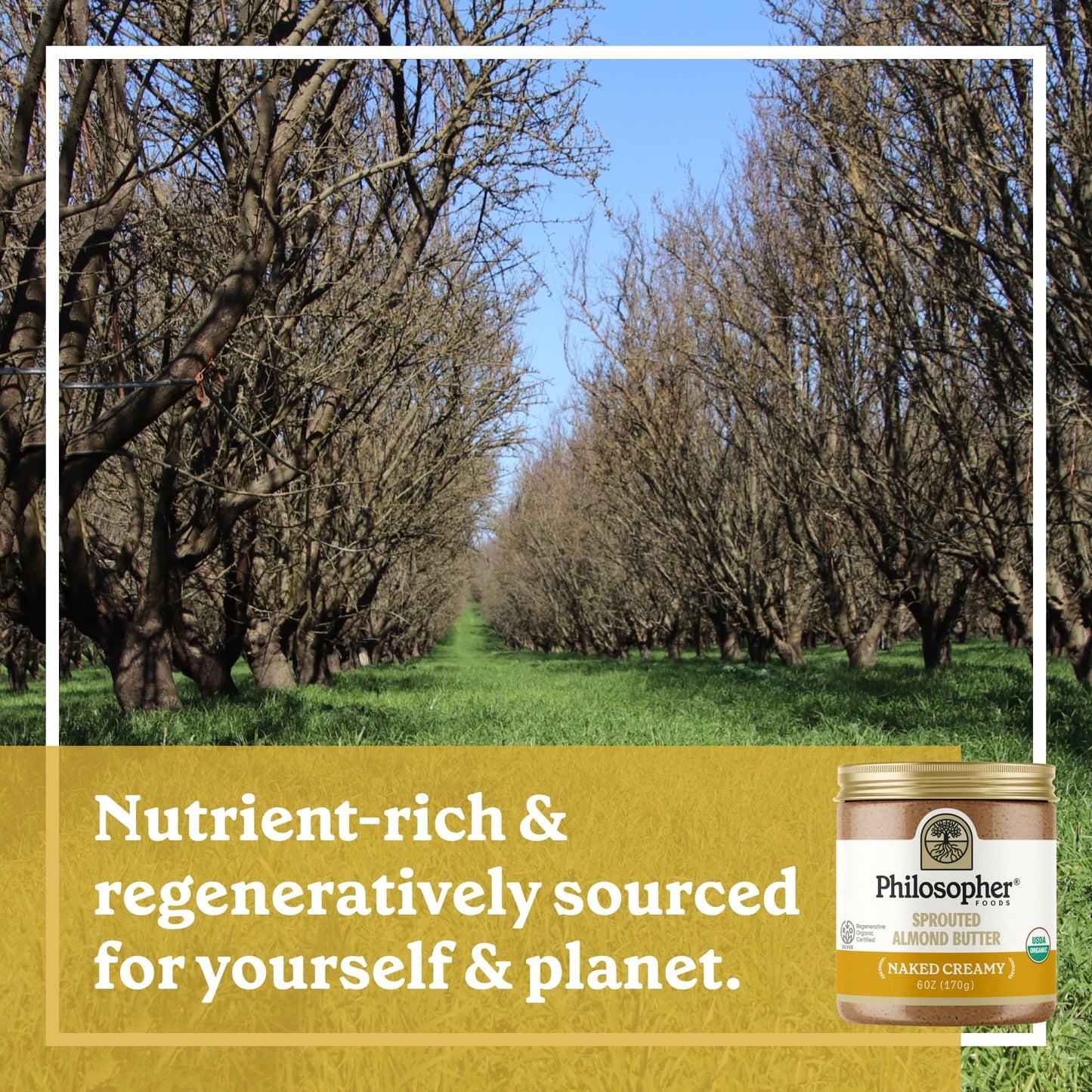 Philosopher Foods - Organic Naked Creamy Sprouted Almond Butter - 6 Oz - Stone Ground Regenerative Organic Crunchy Almond Nut Bu