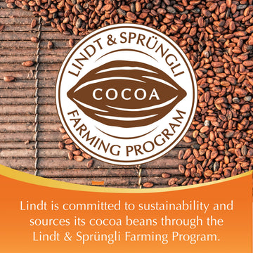 Lindt Lindor Caramel Milk Chocolate Truffles, Milk Chocolate Candy With Smooth, Melting Truffle Center, Great For Gift Giving, 5.1 Oz. Bag (6 Pack)