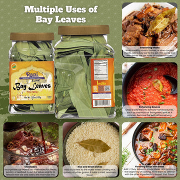 Rani Bay Leaf (Leaves) Whole Spice Hand Selected Extra Large 3.5Oz (100G) Pet Jar ~ All Natural | Gluten Friendly | Non-Gmo | Kosher | Vegan | Indian Origin (Tej Patta)