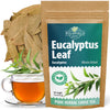 4 oz Dried Eucalypt Leaves Dry Herbal Tea (Eucalyptus) 113g Long Big Eucalyptus Leaf Herb Hojas De Eucalipto